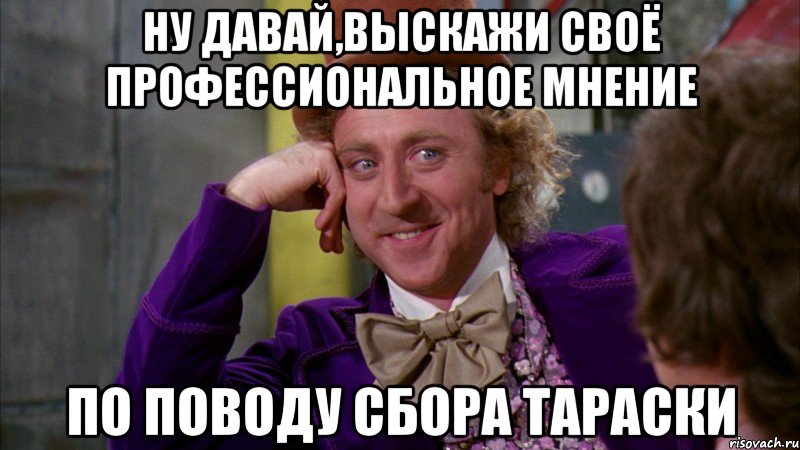 Ну давай,выскажи своё профессиональное мнение по поводу сбора тараски, Мем Ну давай расскажи (Вилли Вонка)