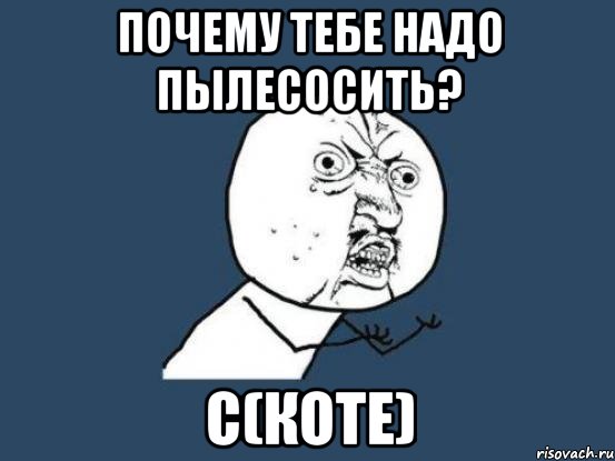 Почему тебе надо пылесосить? С(коте), Мем Ну почему