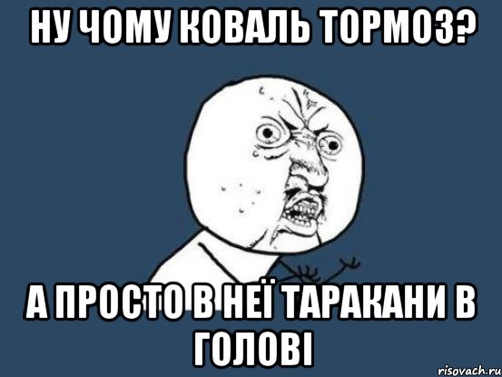 Ну чому коваль тормоз? А просто в неї таракани в голові, Мем Ну почему