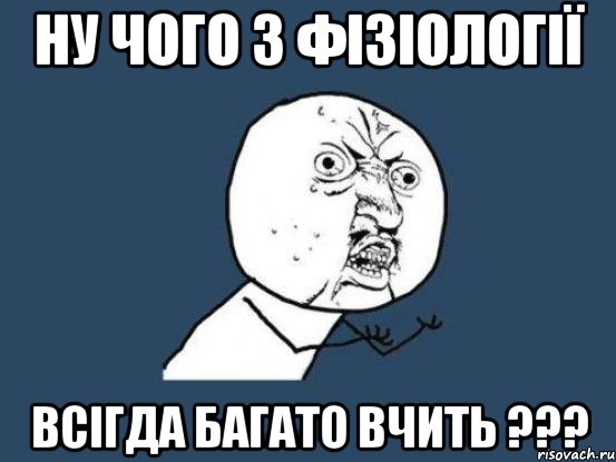 Ну чого з фізіології Всігда багато вчить ???, Мем Ну почему