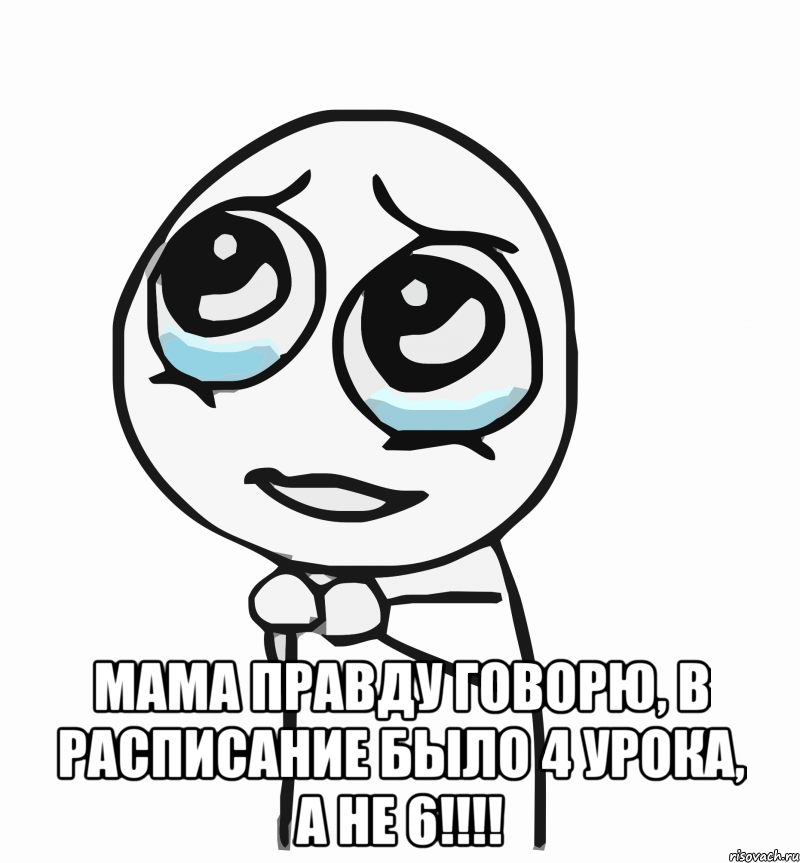  Мама правду говорю, в расписание было 4 урока, а не 6!!!!, Мем  ну пожалуйста (please)