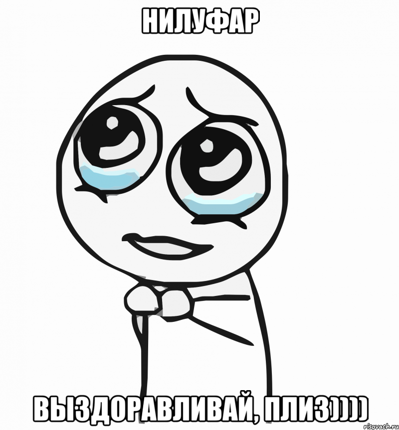 Нилуфар Выздоравливай, плиз)))), Мем  ну пожалуйста (please)