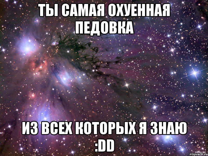 Ты самая охуенная педовка из всех которых я знаю :DD, Мем Космос