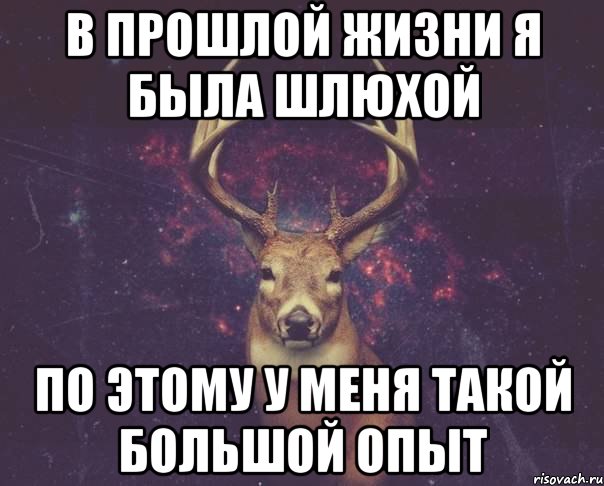 в прошлой жизни я была шлюхой по этому у меня такой большой опыт, Мем  олень наивный