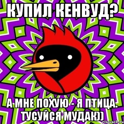 Купил кенвуд? А мне похую - я птица. Тусуйся мудак)), Мем Омская птица