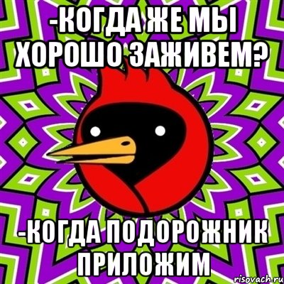 -когда же мы хорошо заживем? -когда подорожник приложим, Мем Омская птица