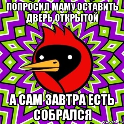 ПОПРОСИЛ МАМУ ОСТАВИТЬ ДВЕРЬ ОТКРЫТОЙ А САМ ЗАВТРА ЕСТЬ СОБРАЛСЯ, Мем Омская птица