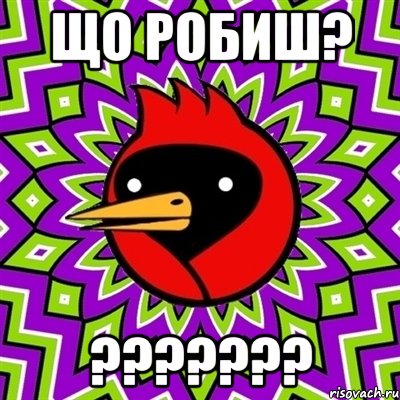 Що робиш? ???????, Мем Омская птица