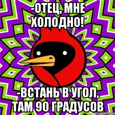 -отец, мне холодно! -встань в угол, там 90 градусов, Мем Омская птица