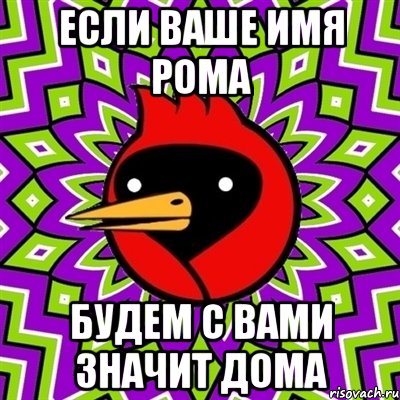 Если ваше имя Рома будем с вами значит дома, Мем Омская птица