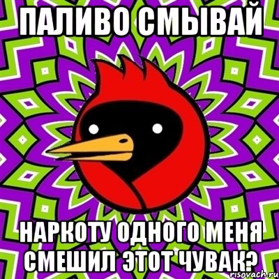 ПАЛИВО СМЫВАЙ НАРКОТУ ОДНОГО МЕНЯ СМЕШИЛ ЭТОТ ЧУВАК?, Мем Омская птица