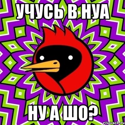 УЧУСЬ В НУА НУ А ШО?, Мем Омская птица