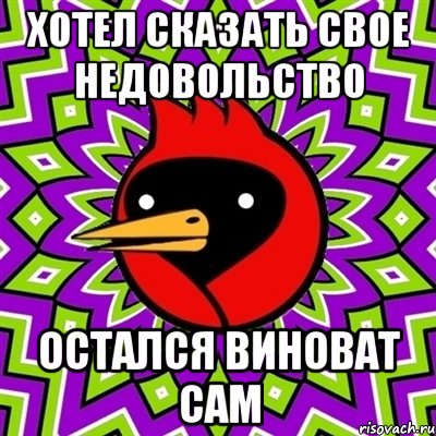 Хотел сказать свое недовольство Остался виноват сам, Мем Омская птица