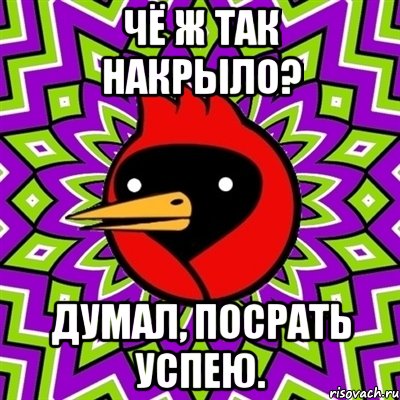 Чё ж так накрыло? Думал, посрать успею., Мем Омская птица