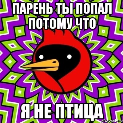 парень ТЫ ПОПАЛ ПОТОМУ ЧТО Я НЕ ПТИЦА, Мем Омская птица