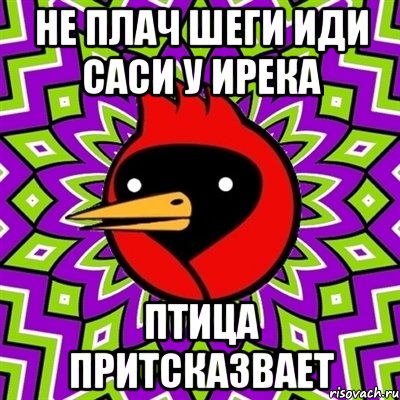 не плач шеги иди саси у ирека птица притсказвает, Мем Омская птица