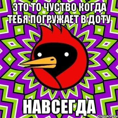 ЭТО ТО ЧУСТВО КОГДА ТЕБЯ ПОГРУЖАЕТ В ДОТУ НАВСЕГДА, Мем Омская птица