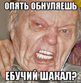 опять обнуляешь ебучий шакал?, Мем опять начинаешь ибучий шакал