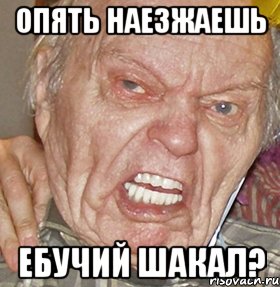 ОПЯТЬ НАЕЗЖАЕШЬ ЕБУЧИЙ ШАКАЛ?, Мем опять начинаешь ибучий шакал