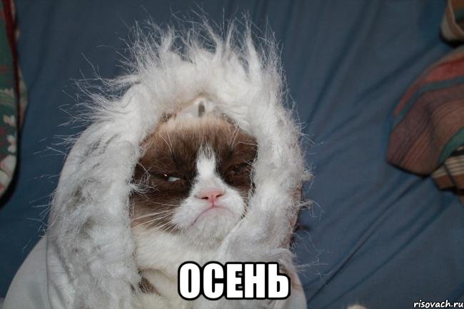  осень
