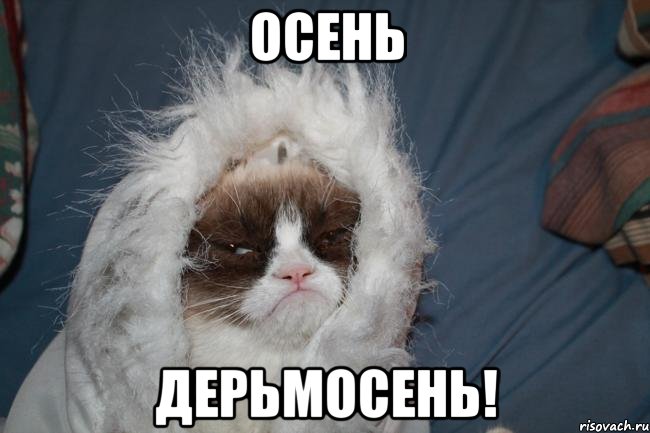 осень ДЕРЬМОСЕНЬ!