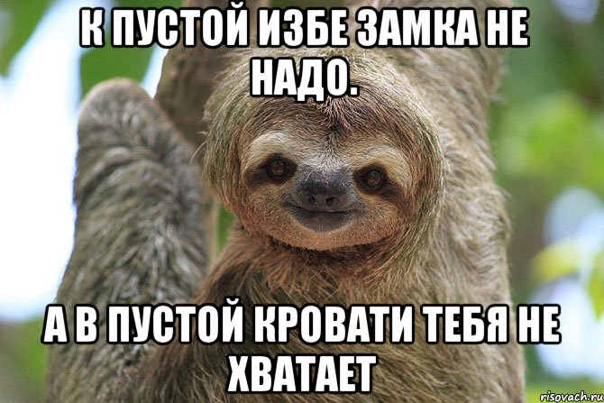 К пустой избе замка не надо. А в пустой кровати тебя не хватает, Мем  Ленивец