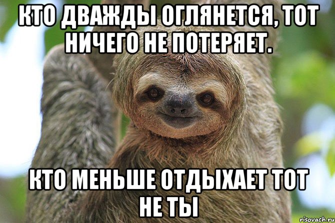 Кто дважды оглянется, тот ничего не потеряет. Кто меньше отдыхает тот не ты, Мем  Ленивец