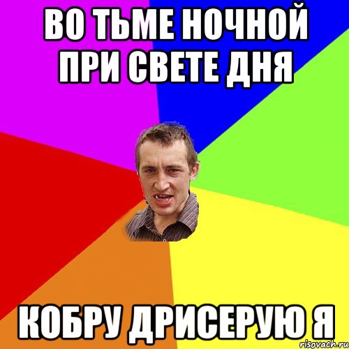 Во тьме ночной при свете дня кобру дрисерую я, Мем Чоткий паца