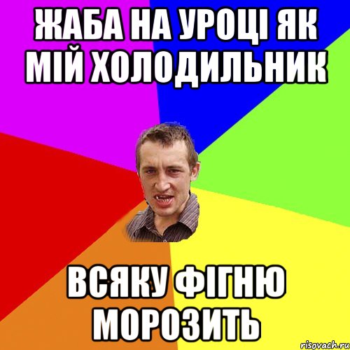 Жаба на уроці як мій холодильник всяку фігню морозить, Мем Чоткий паца