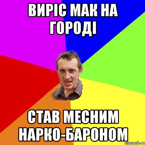 Виріс мак на городі став месним нарко-бароном, Мем Чоткий паца