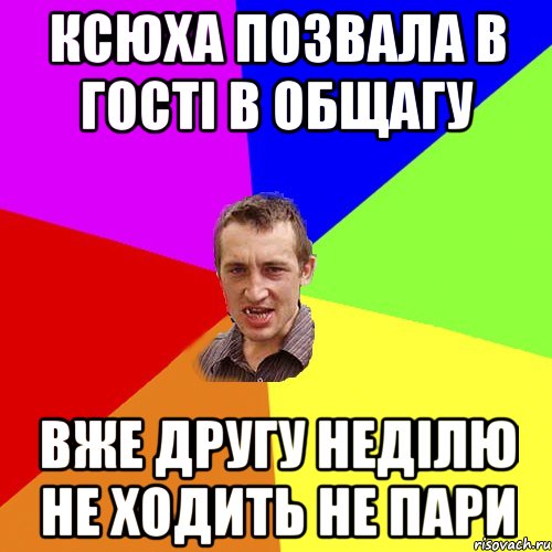 Ксюха позвала в гості в общагу вже другу неділю не ходить не пари, Мем Чоткий паца