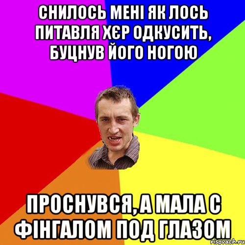 Снилось мені як лось питавля хєр одкусить, буцнув його ногою Проснувся, а мала с фінгалом под глазом, Мем Чоткий паца
