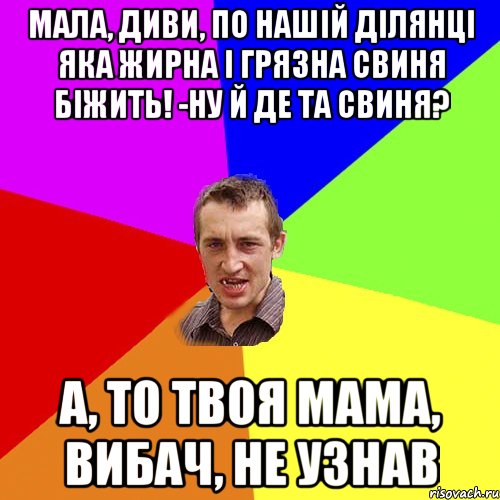 мала, диви, по нашій ділянці яка жирна і грязна свиня біжить! -ну й де та свиня? а, то твоя мама, вибач, не узнав, Мем Чоткий паца