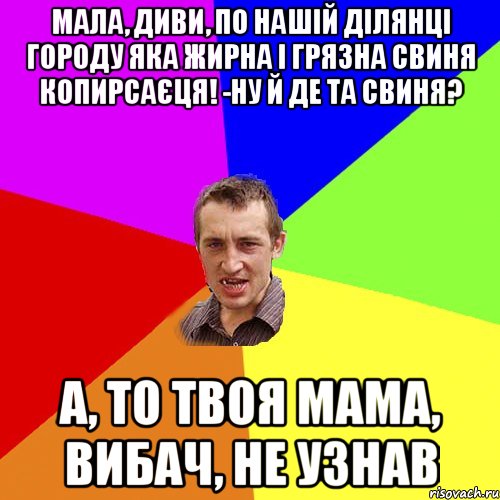 мала, диви, по нашій ділянці городу яка жирна і грязна свиня копирсаєця! -ну й де та свиня? а, то твоя мама, вибач, не узнав, Мем Чоткий паца