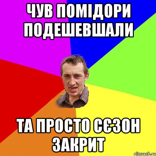 чув помідори подешевшали та просто сєзон закрит, Мем Чоткий паца