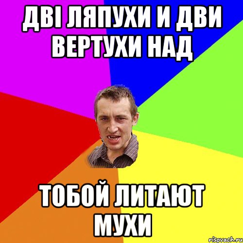 Дві ляпухи и дви вертухи над тобой литают мухи, Мем Чоткий паца