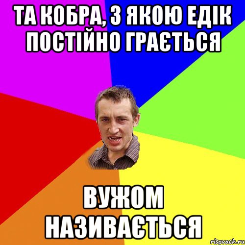 та кобра, з якою едік постійно грається вужом називається, Мем Чоткий паца