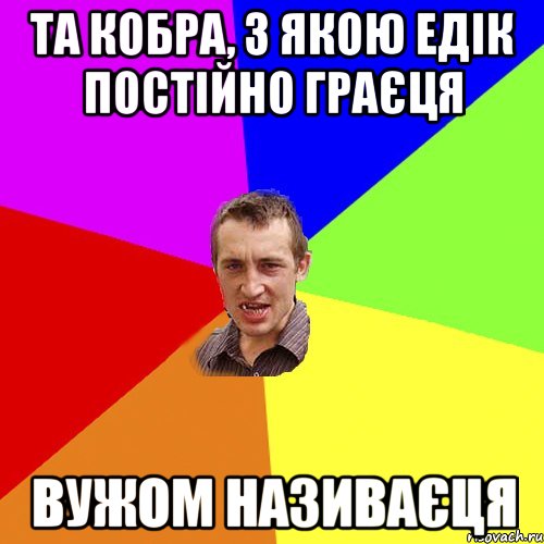 та кобра, з якою едік постійно граєця вужом називаєця, Мем Чоткий паца