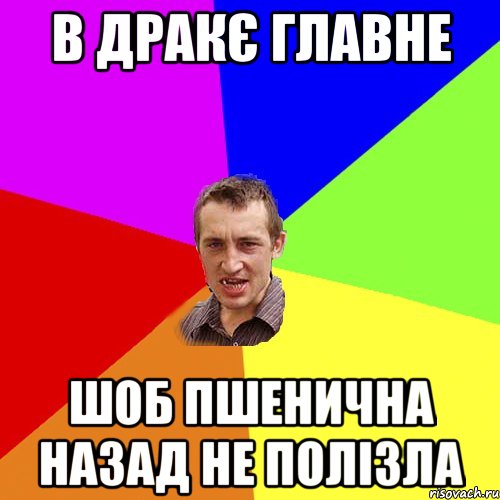 в дракє главне шоб пшенична назад не полізла, Мем Чоткий паца