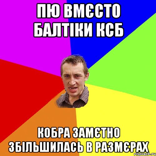 пю вмєсто балтіки ксб кобра замєтно збільшилась в размєрах, Мем Чоткий паца