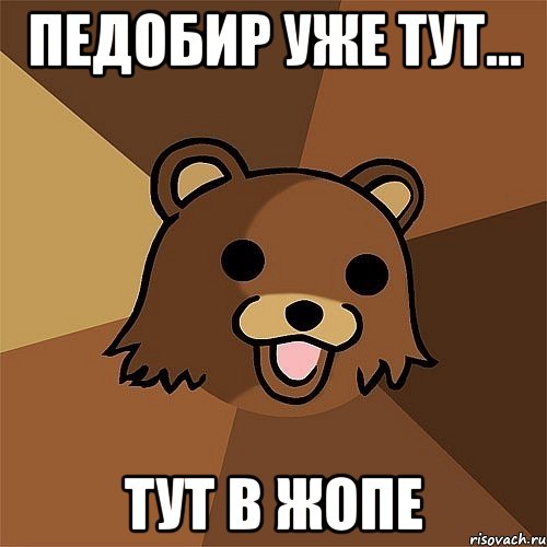 педобир уже тут... тут в жопе, Мем Педобир