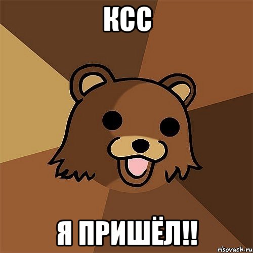 ксс я пришёл!!, Мем Педобир