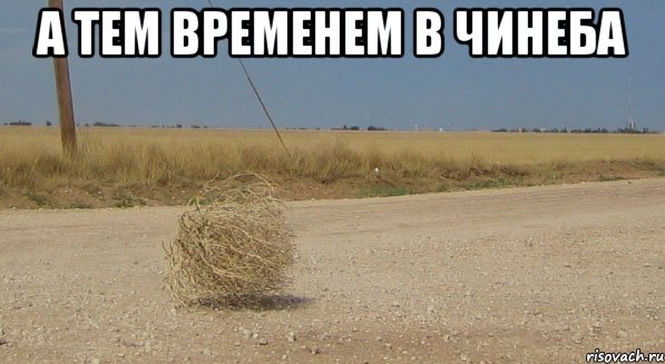 А тем временем в Чинеба , Мем перекати-поле одиночество