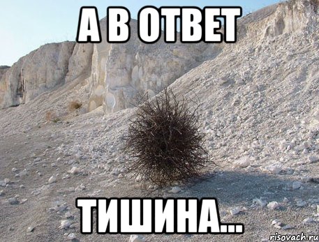 А В ОТВЕТ ТИШИНА...