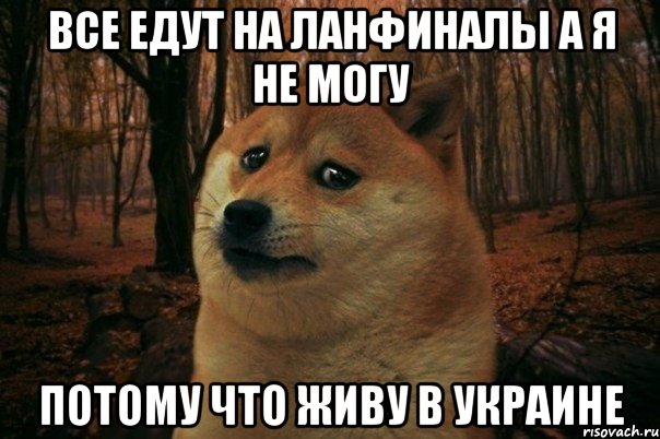 все едут на ланфиналы а я не могу потому что живу в украине, Мем SAD DOGE