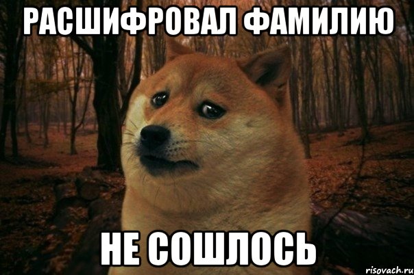 Расшифровал фамилию Не сошлось, Мем SAD DOGE