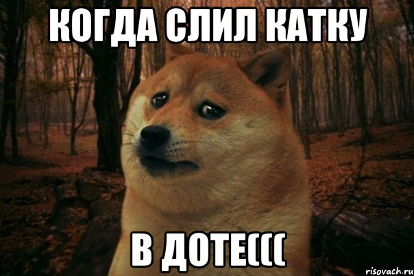 Когда слил катку В доте(((, Мем SAD DOGE