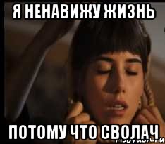 я ненавижу жизнь потому что сволач, Мем песни