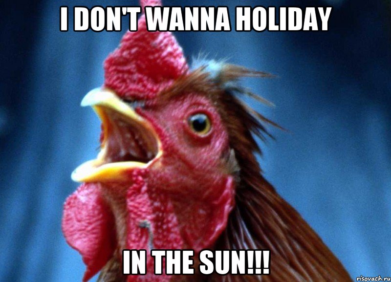 I don't wanna holiday in the sun!!!, Мем Петух