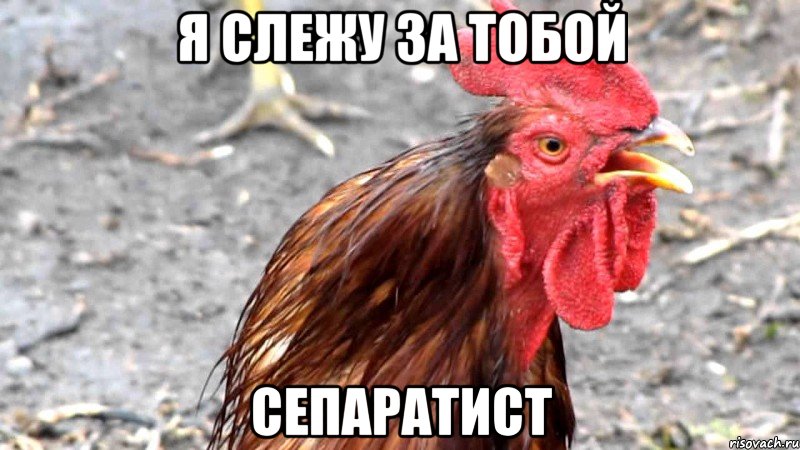 Я слежу за тобой Сепаратист